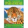 Die Letzten Paradiese - Im Reich Des Jaguar [Regio free (0)]