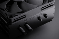 Noctua 7