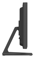 Iiyama 12